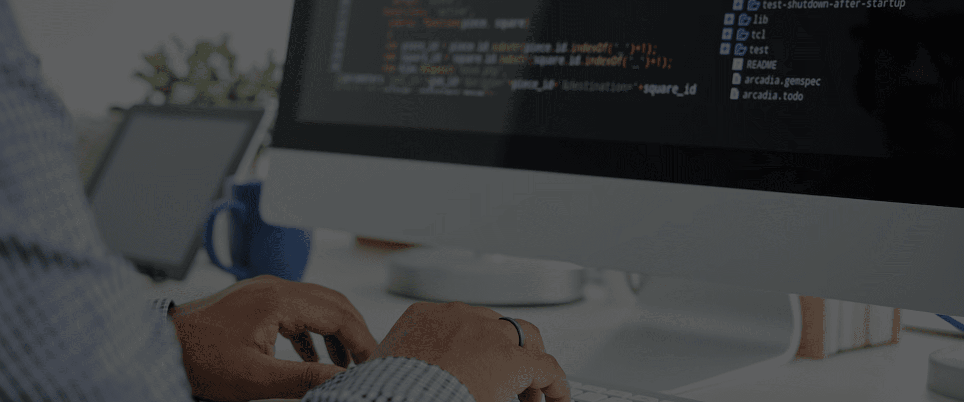 Software Dev Bg