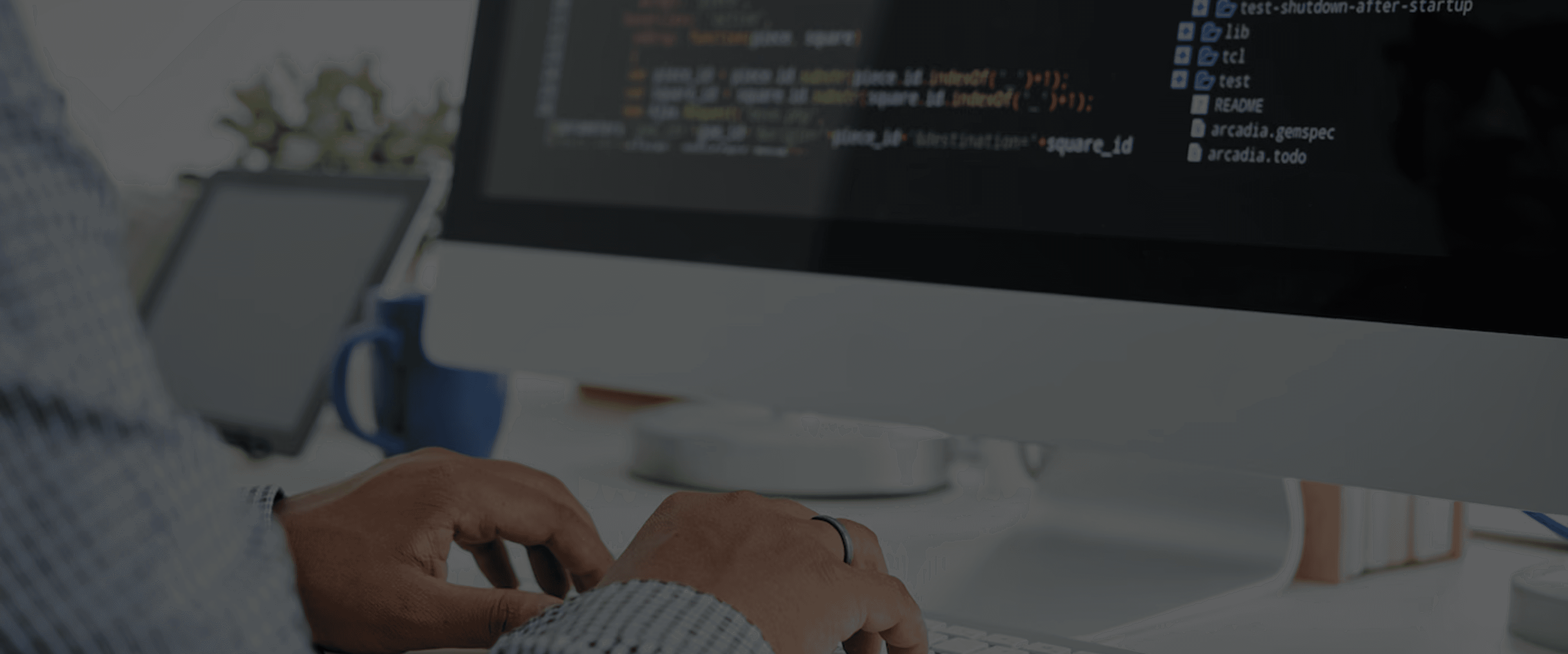 Software Dev Bg